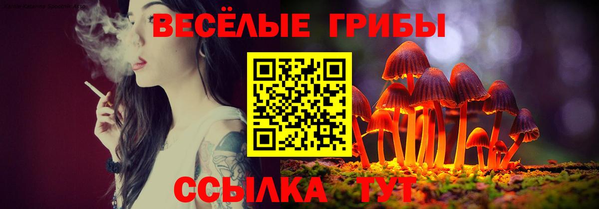 Псилоцибиновые грибы Magic Shrooms Ирбит
